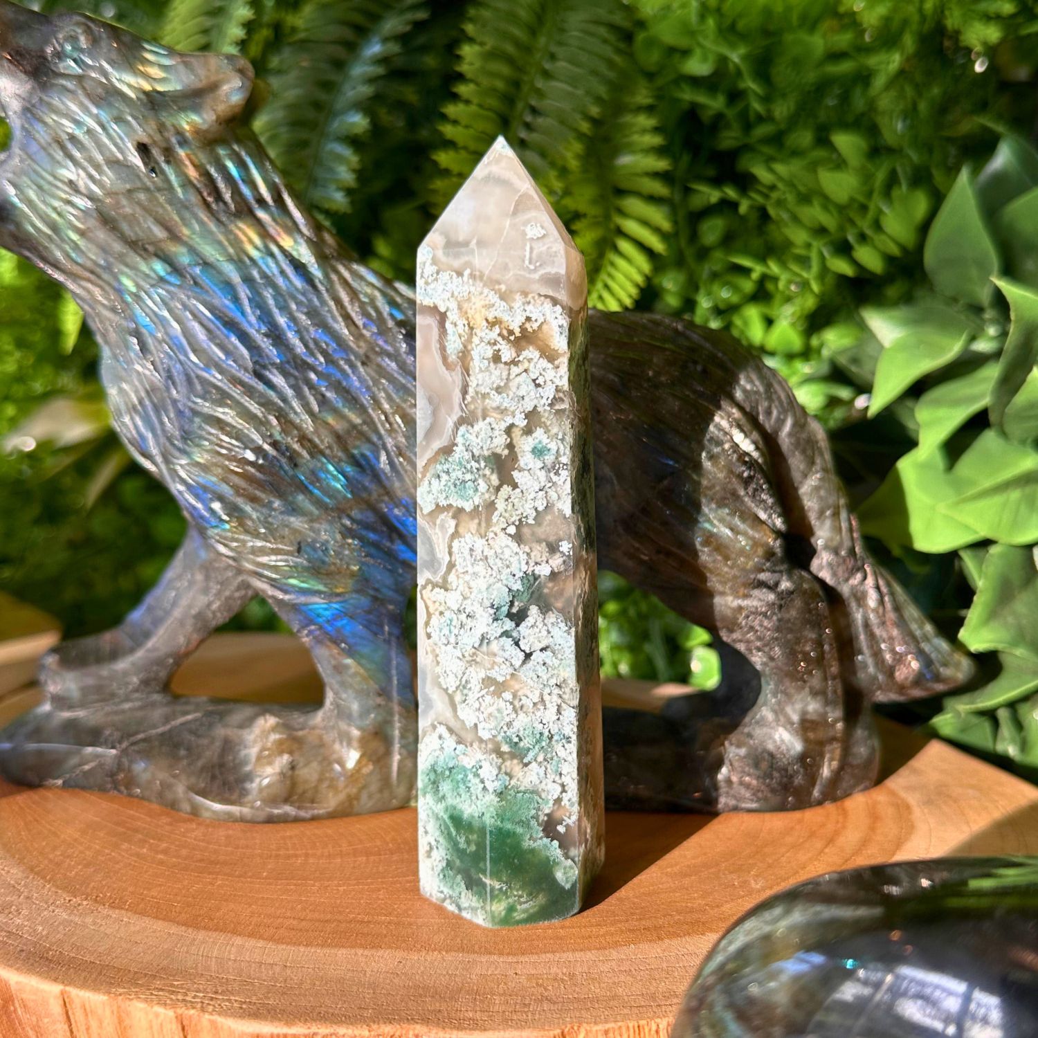 POINTE_AGATE_MOUSSE3