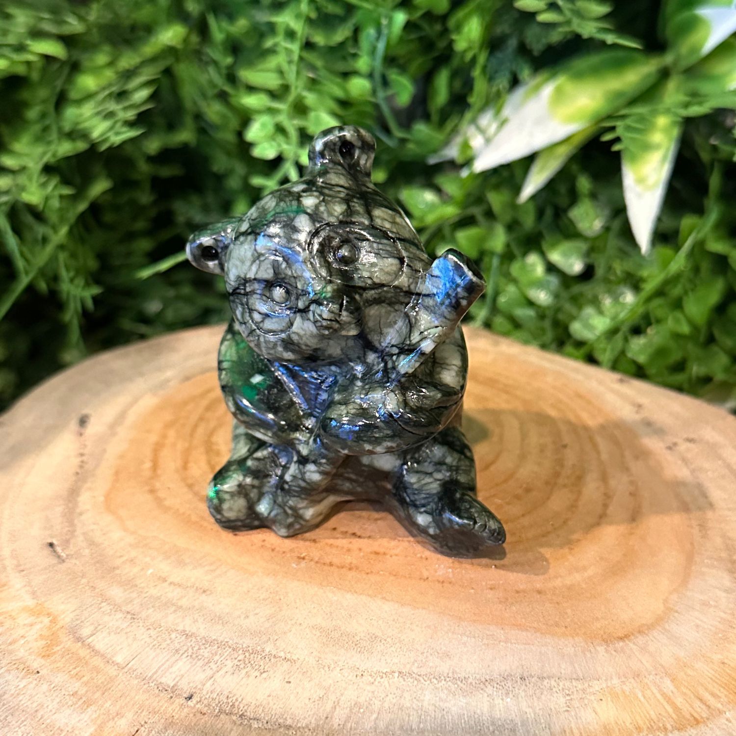 panda-jade14
