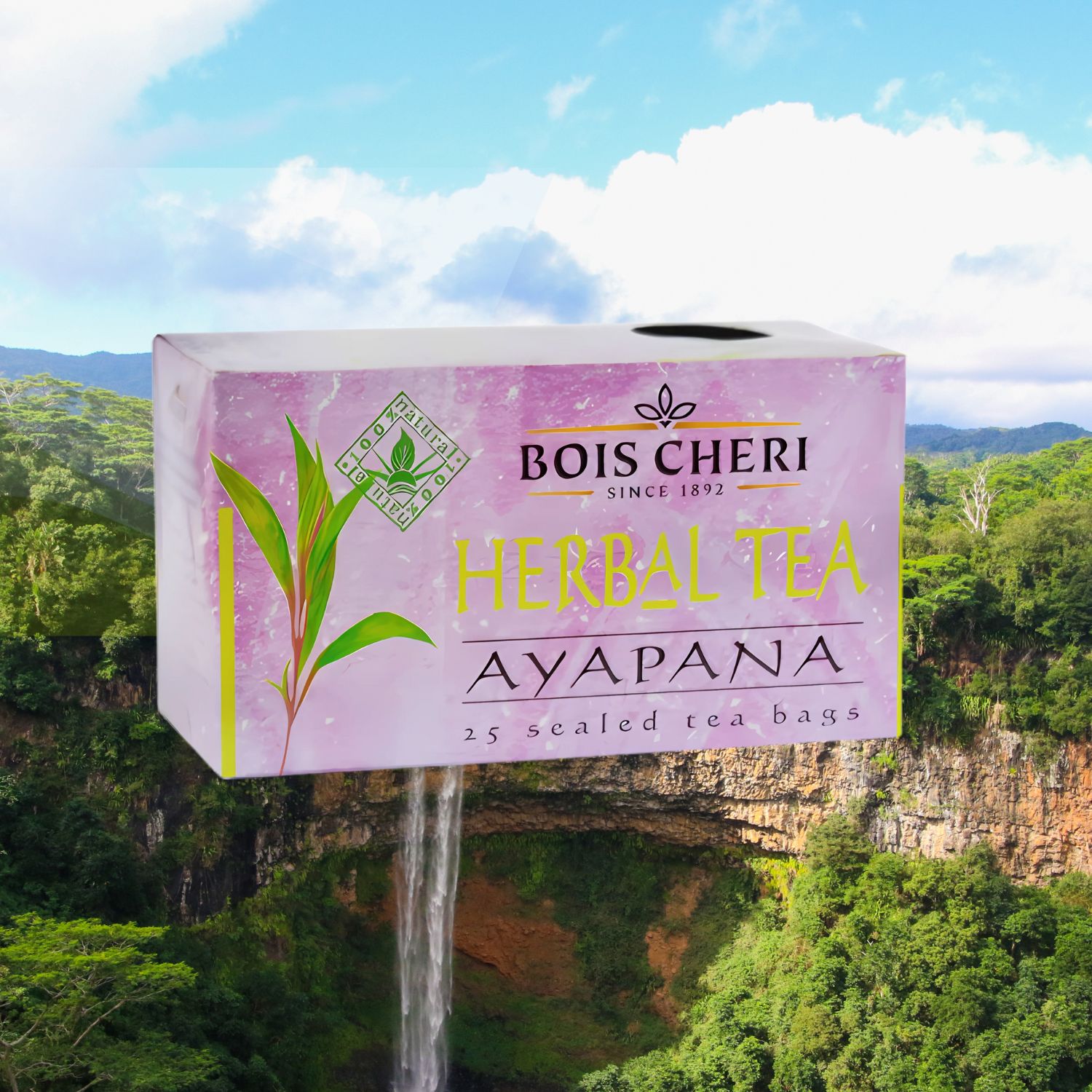ayapana