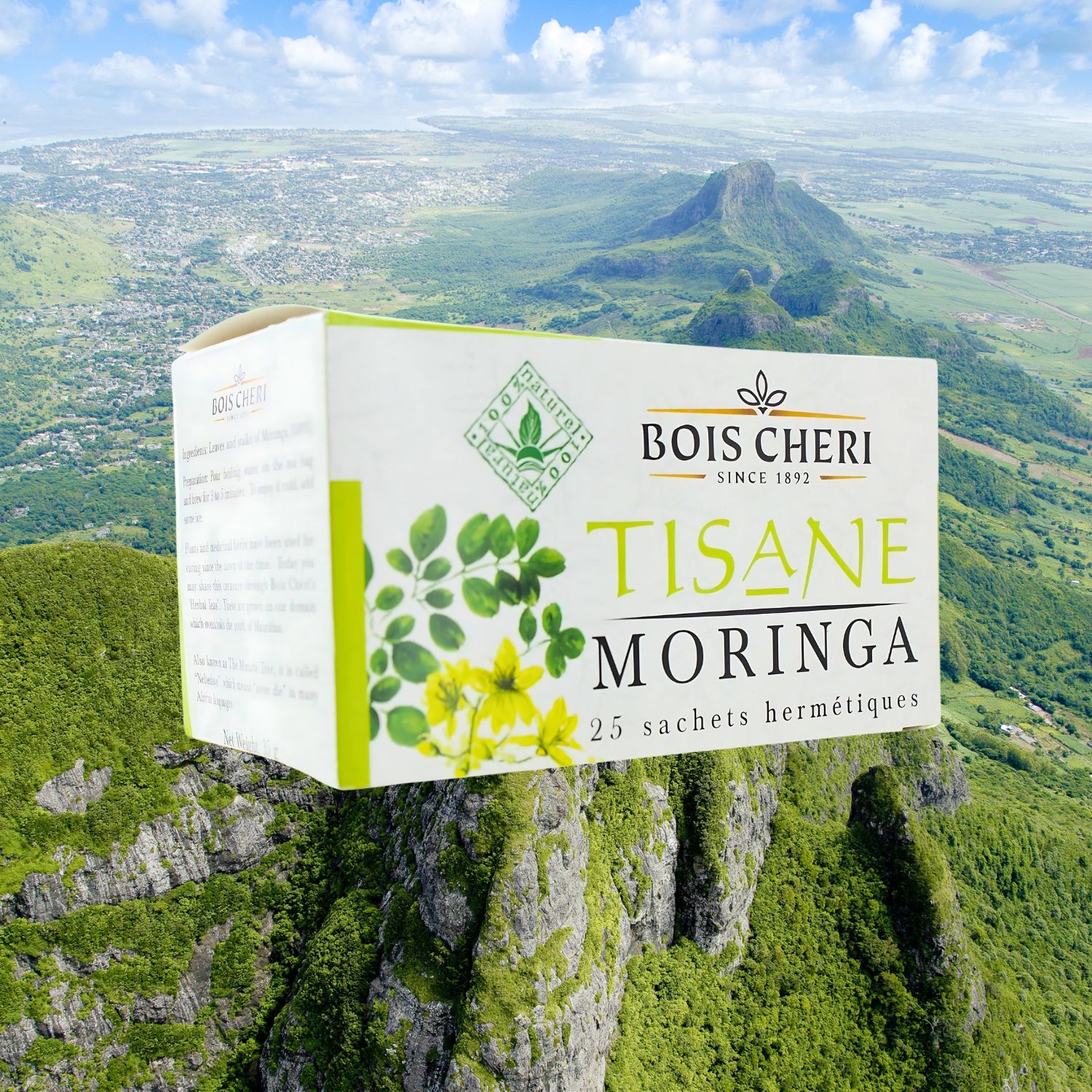 moringa-tisane