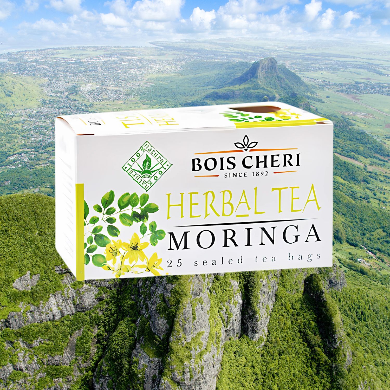 moringa