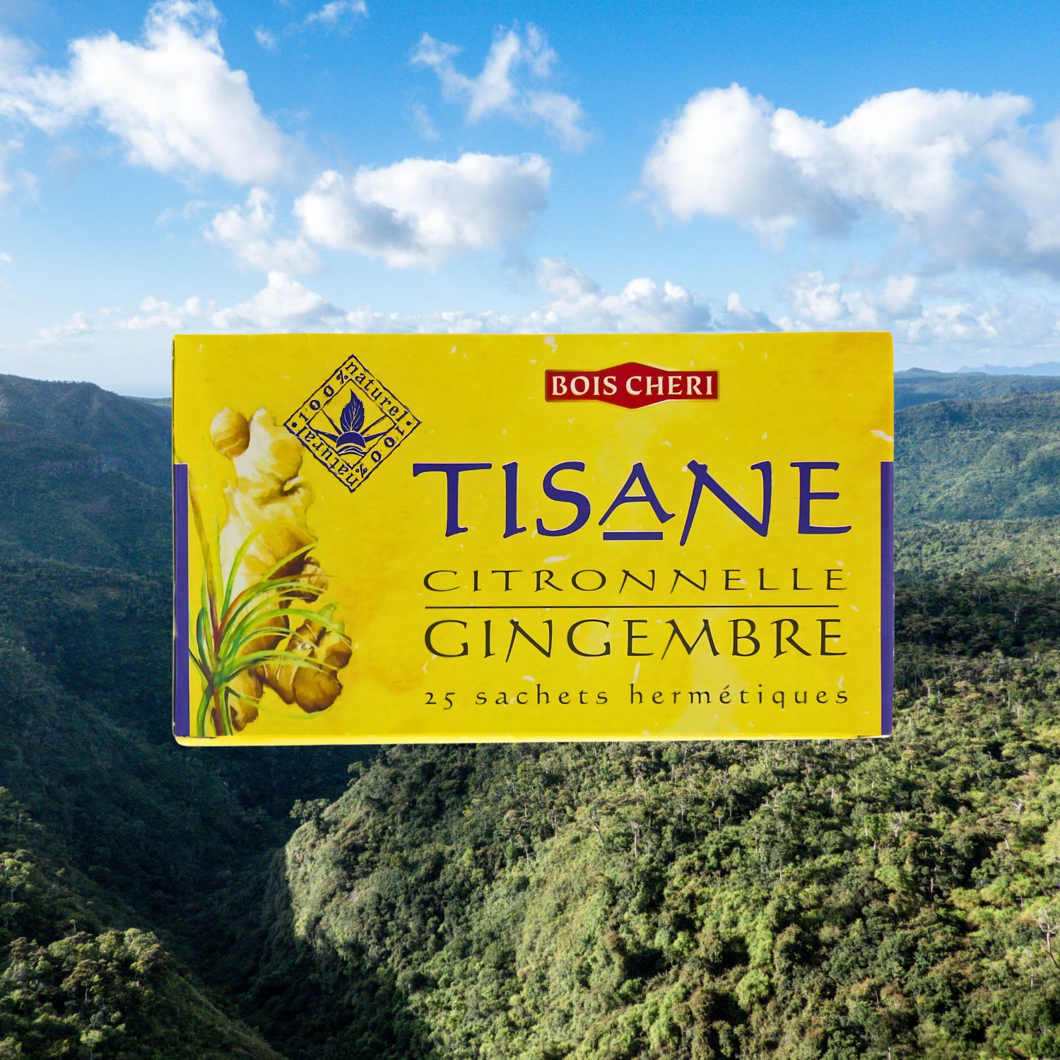 tisane-gingembre