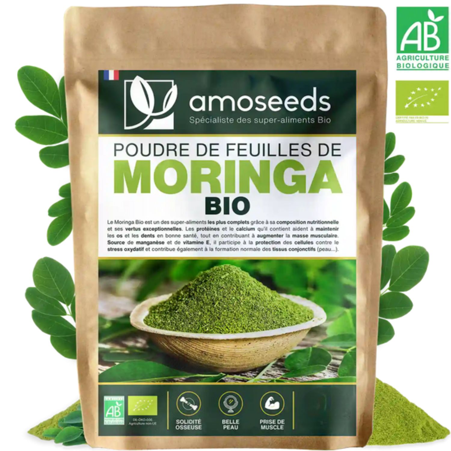 moringa-poudre1
