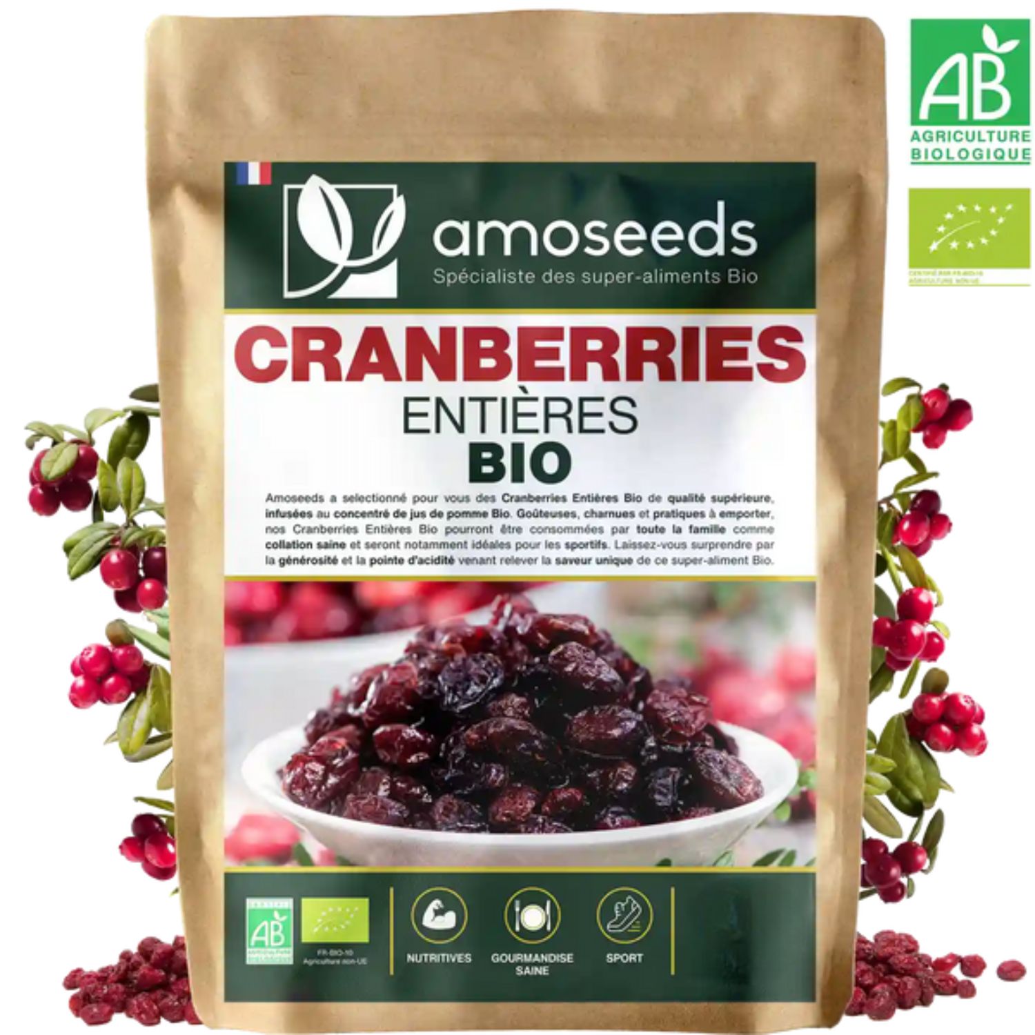cranberries1