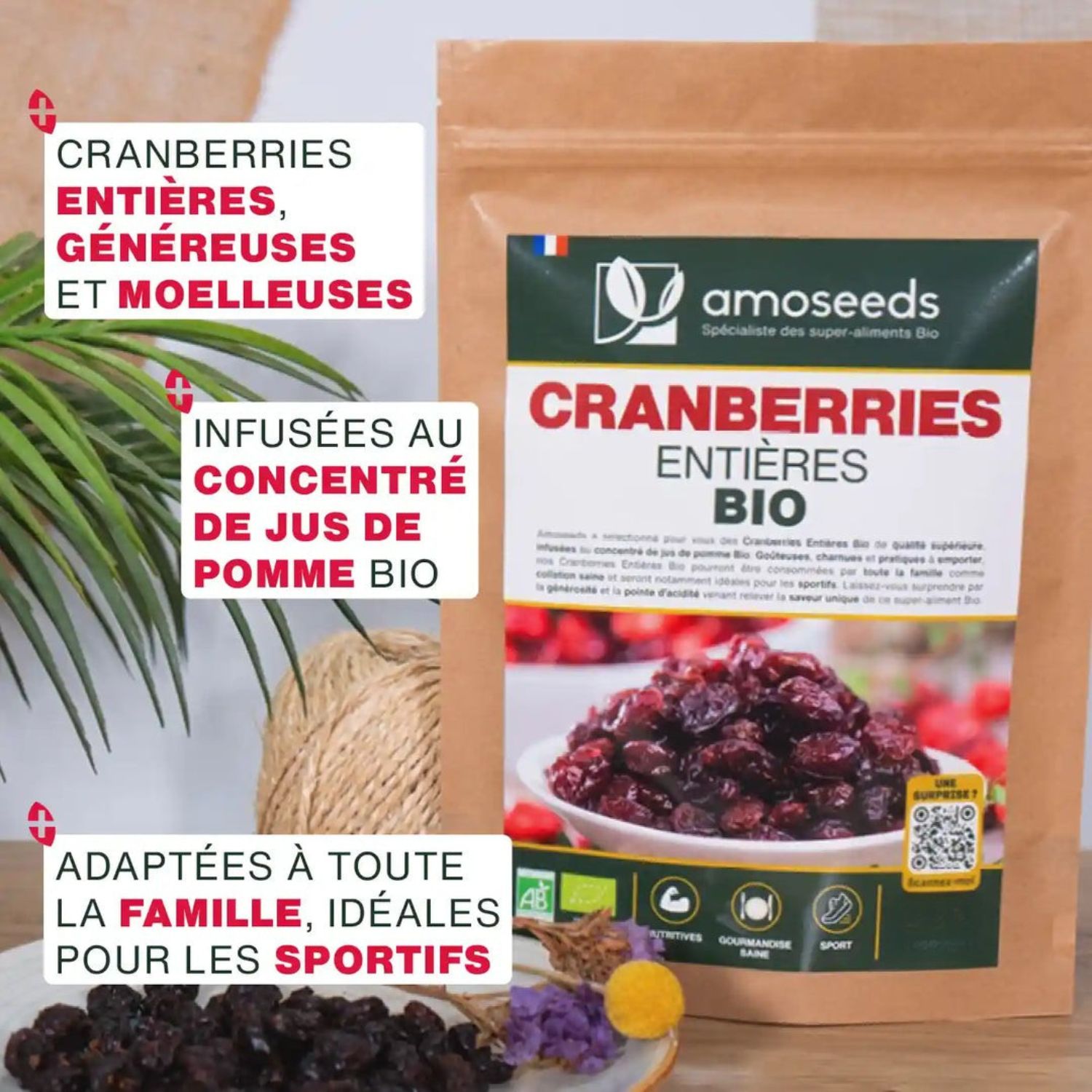 cranberries2