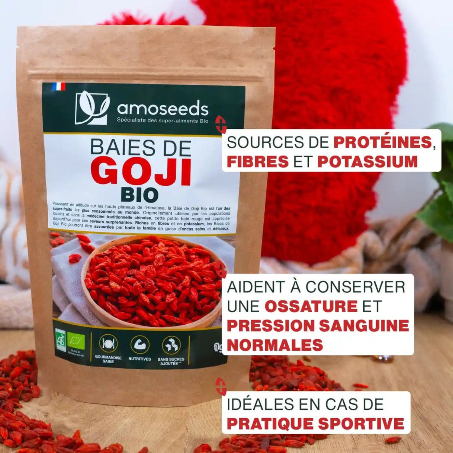 baie-de-goji-bio5