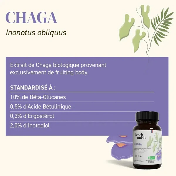 CHAGA_0d5689f9-4bc6-42a3-8b76-b244b23283b0.png