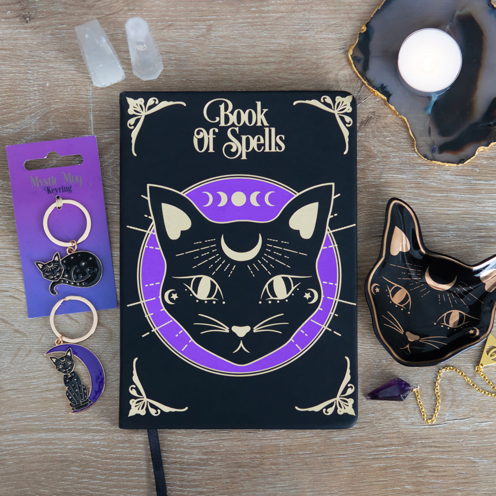 cahier-note-chat9902b1d202ed1b622833a28467502103397f715d4f62ac1c094d5a6abdd575f0