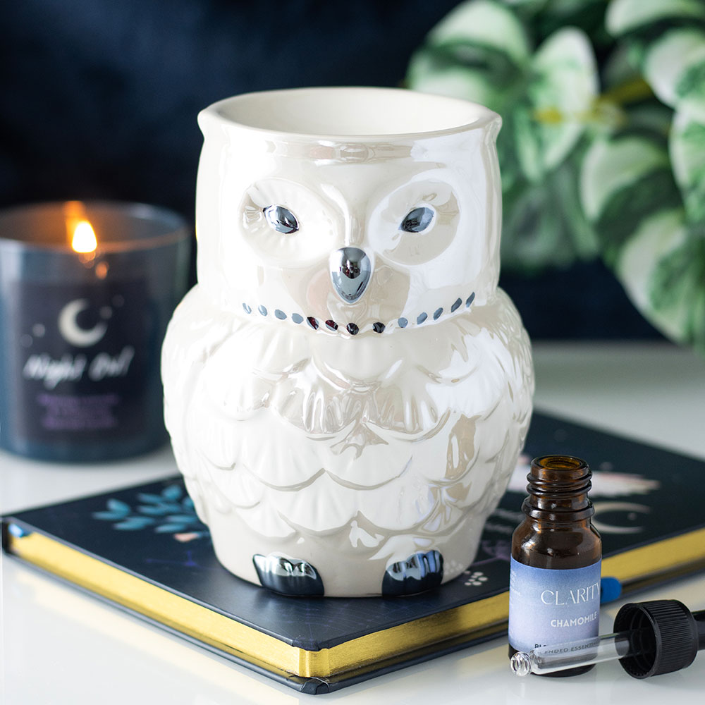 bruleur-hibou90ec8f3ad11441bdb939cec4539dd42fc8910b4a1132b0d0d288737300f4e397