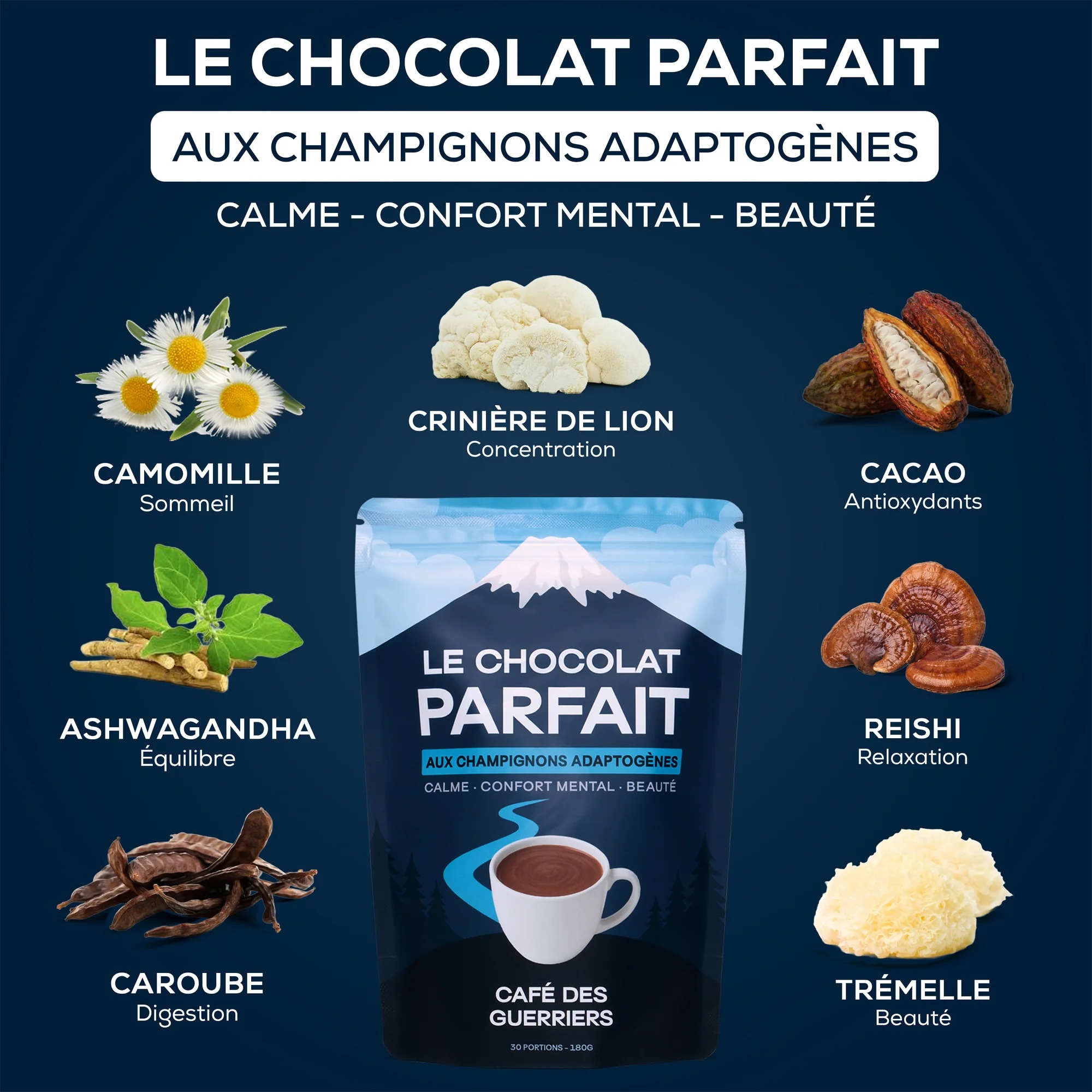 chocolat-parfait-champignons