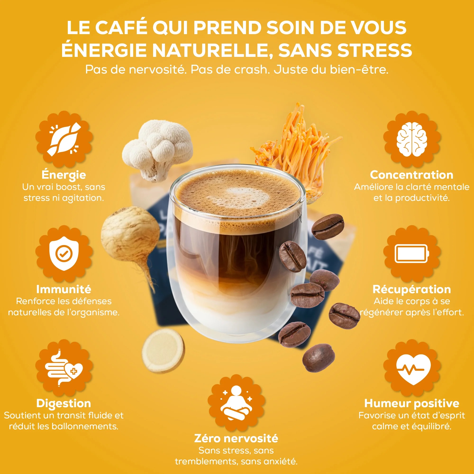 cafe-guerriers.jpg