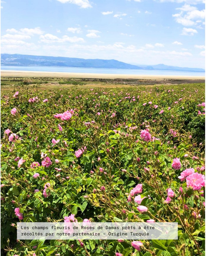eau-florale-bio-rose-de-damas-cultive