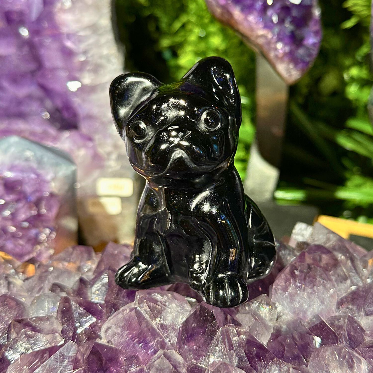 CHIEN_OBSIDIENNE1