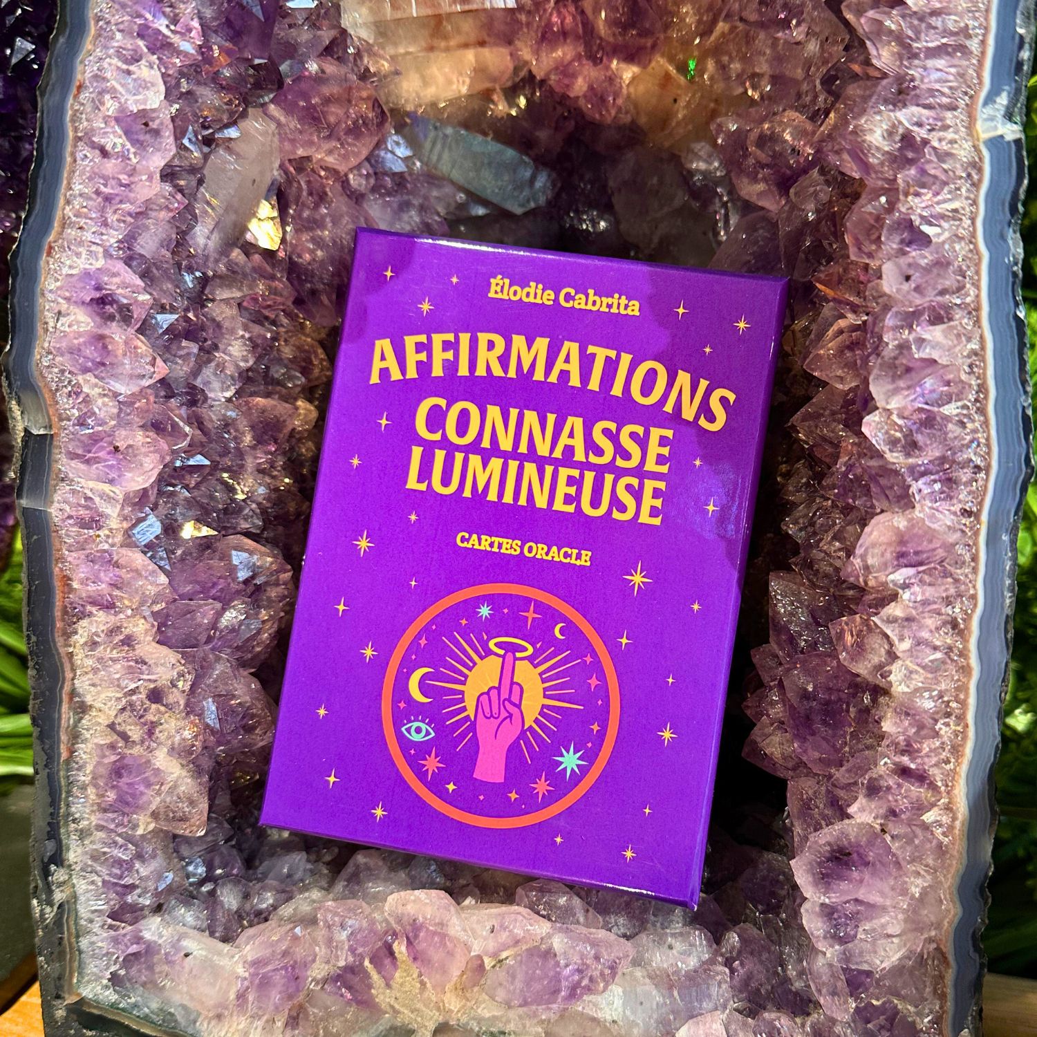 connasse-lumineuse1
