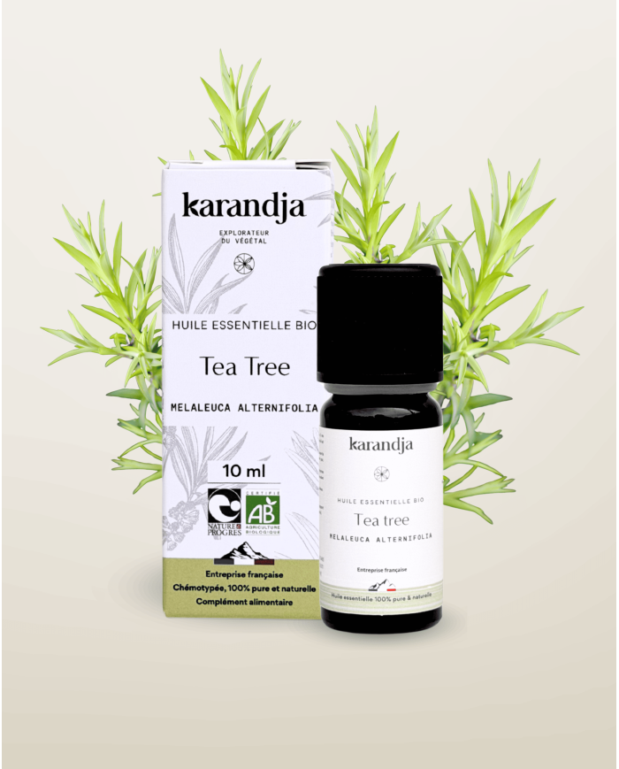 huile-essentielle-bio-de-tea-tree.jpg