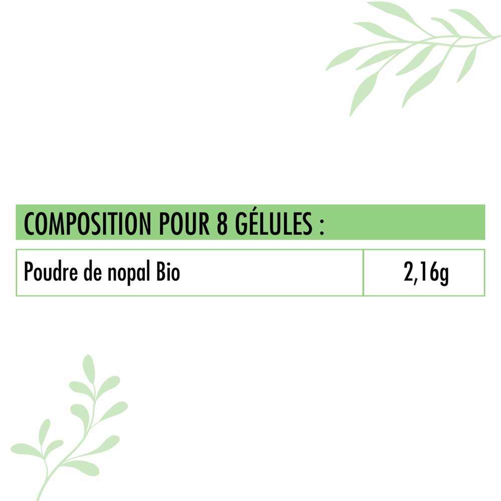 Tableau_nutritionnel_Nopal_Bio