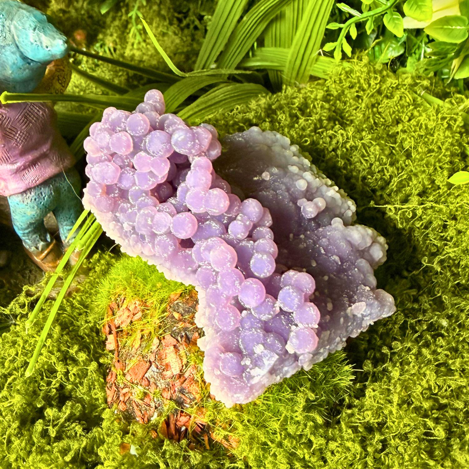 agate-raisin2