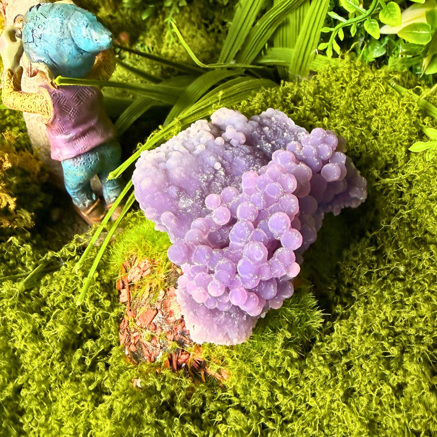agate-raisin1