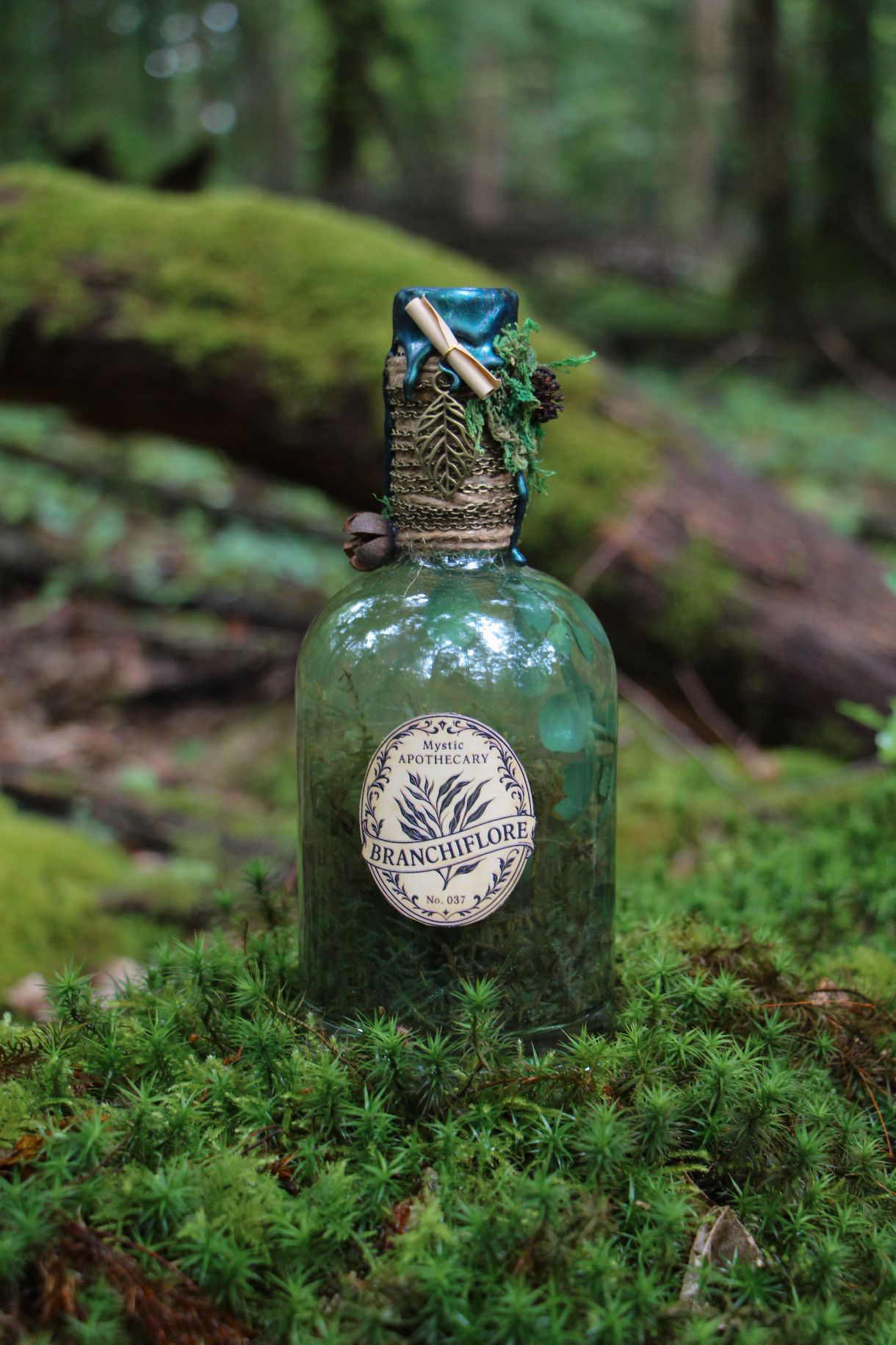 atelier-potion-samhain3