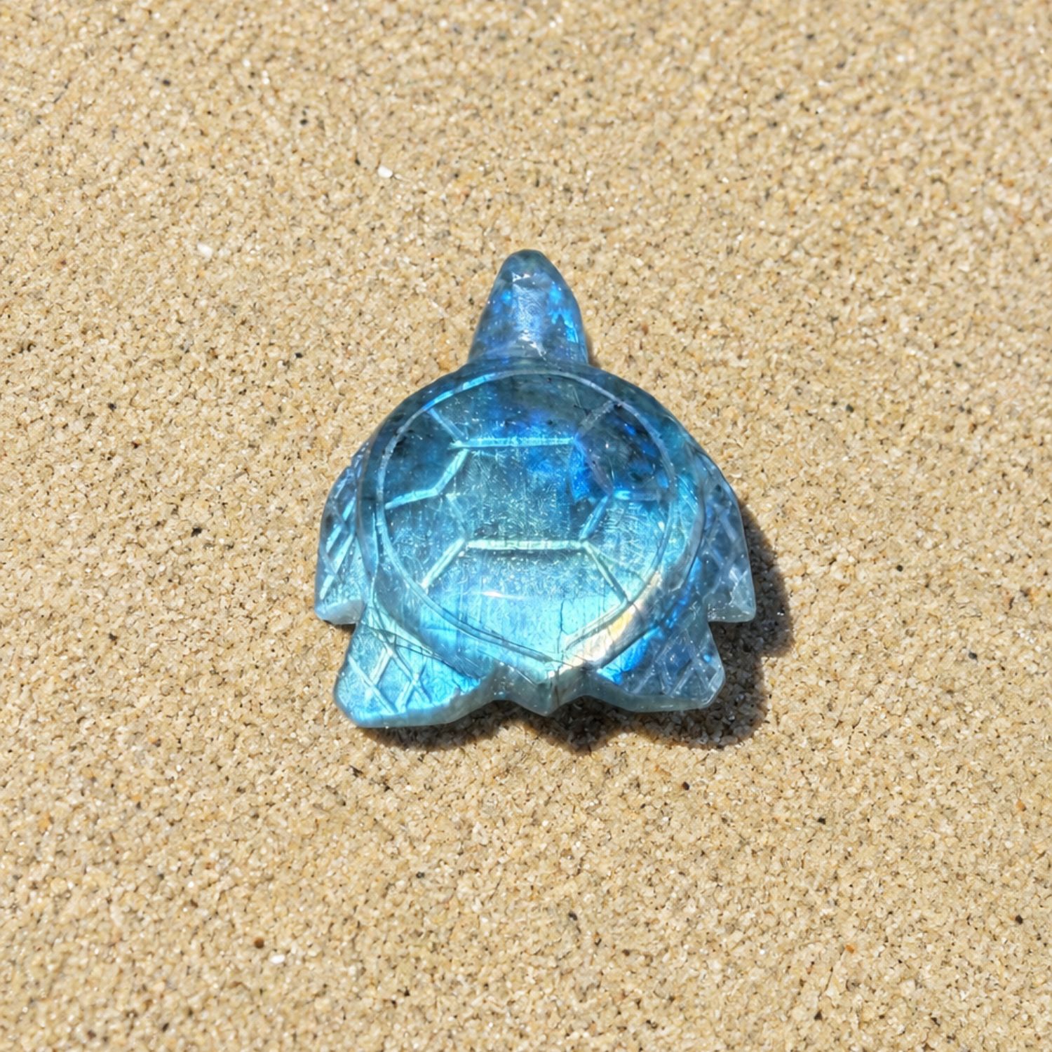 tortue-labradorite1