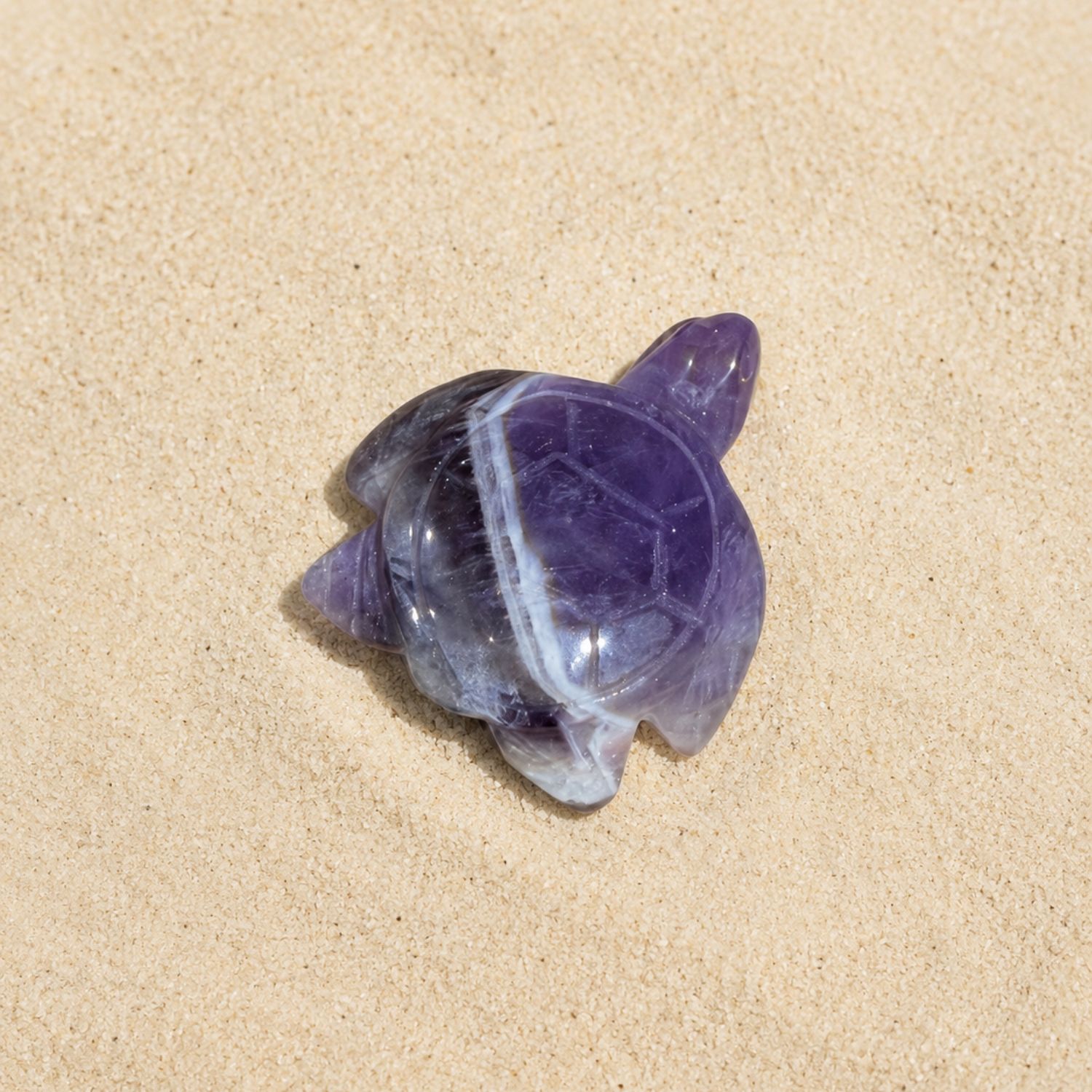 tortue-amethyste