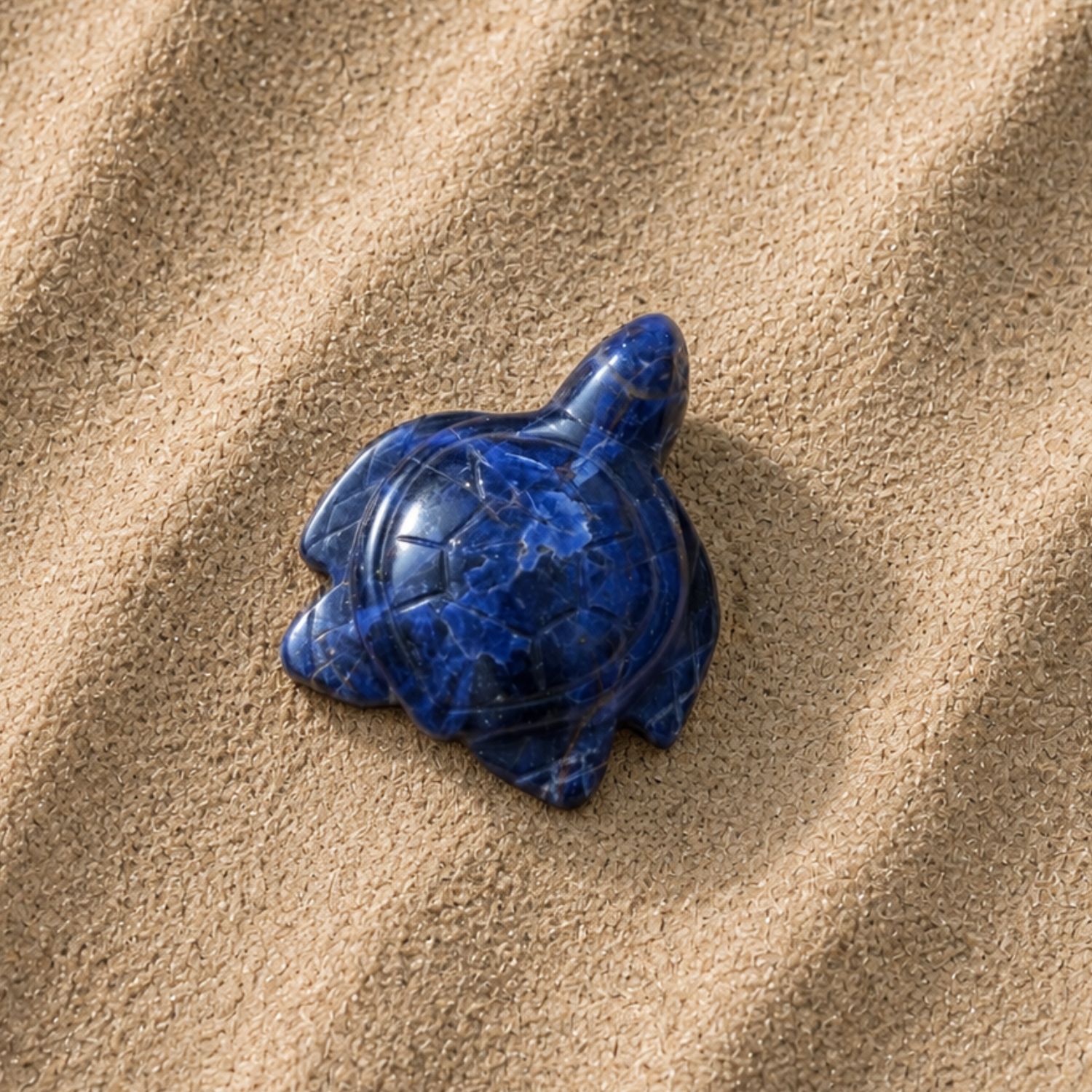 tortue-sodalite