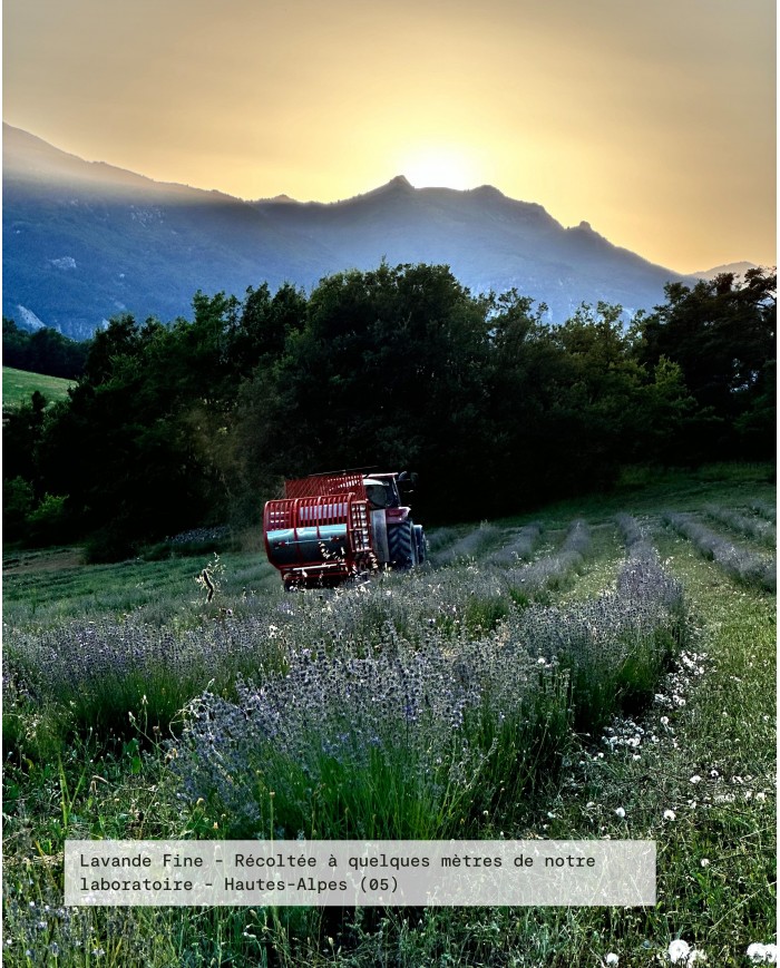 huile-essentielle-bio-lavande-officinale