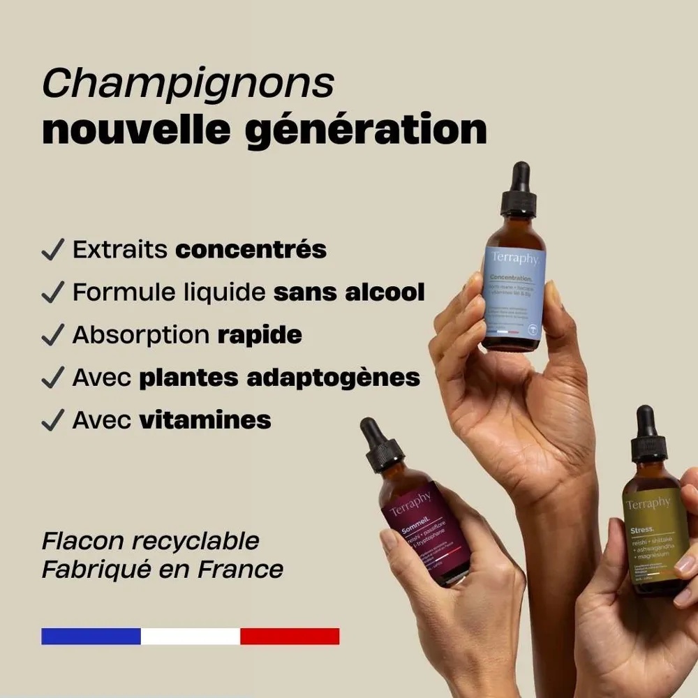 champignons-terraphy