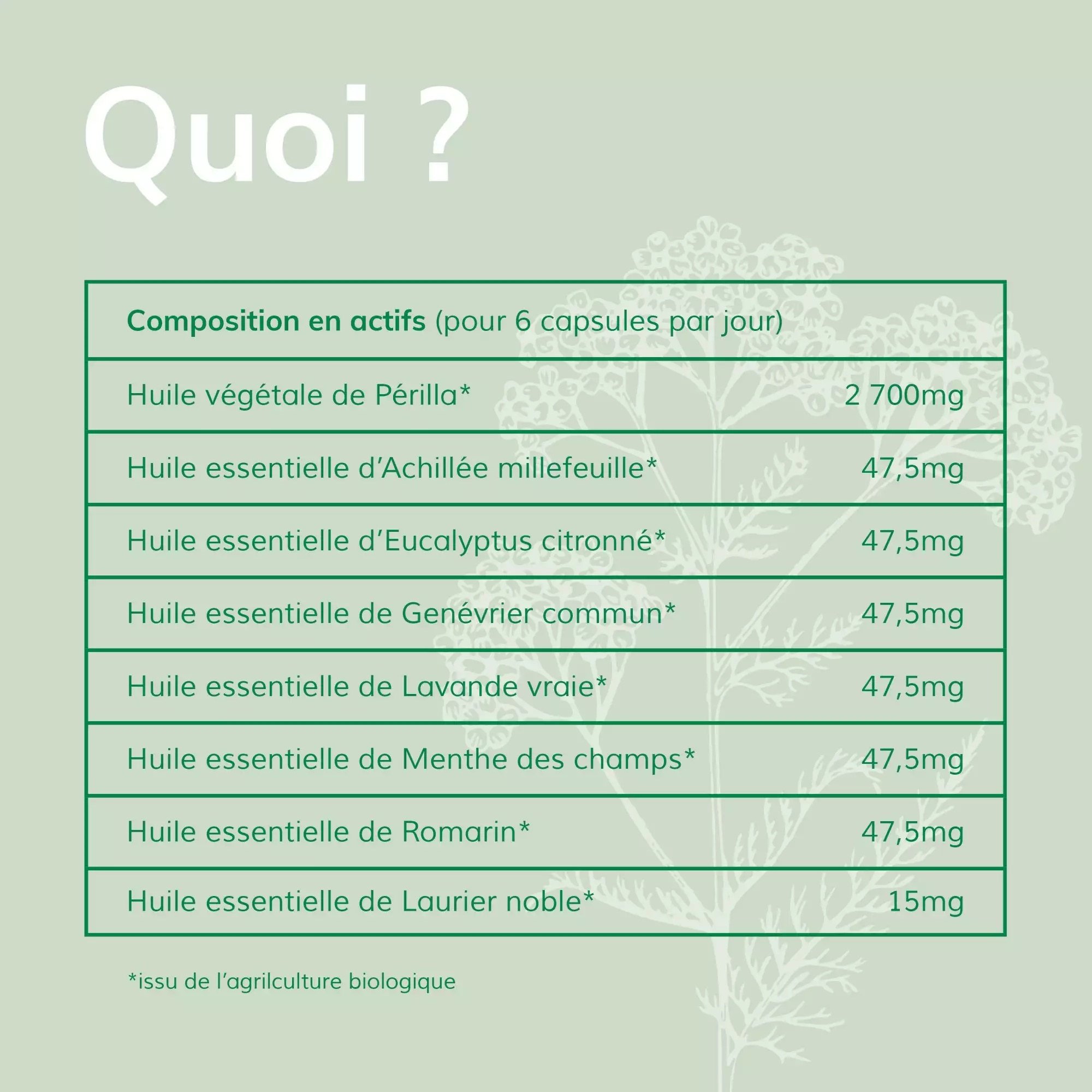 dol-aroma-composition-actifs