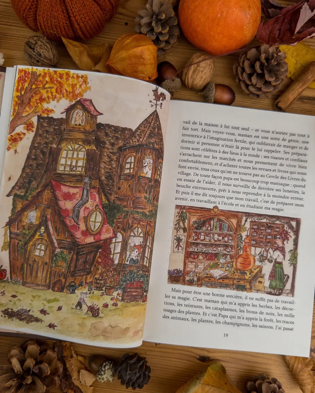 verveine_equinoxe_automne_3