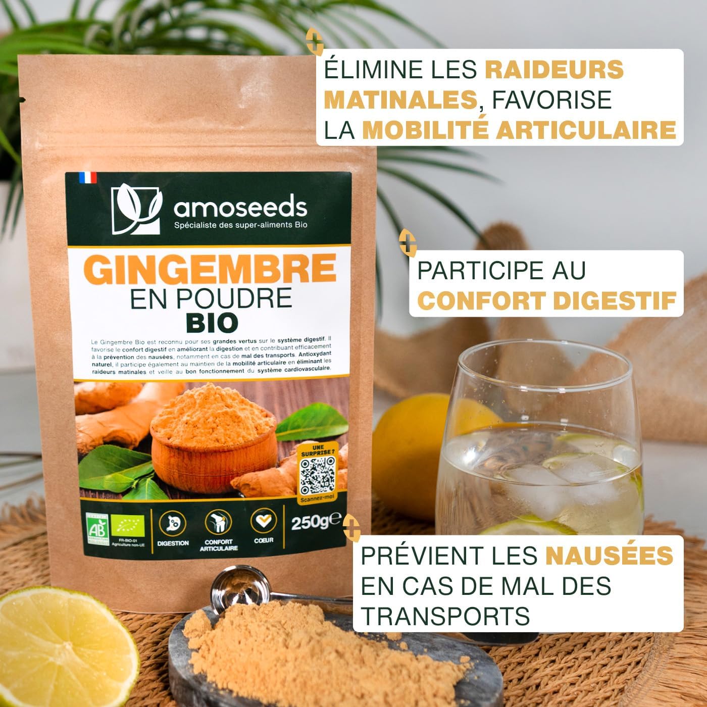 gingembre-poudre-amoseeds1