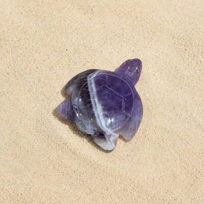 tortue-amethyste