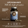 HIFAS_EQUILIBRIUM-21