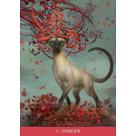 ORACLE_DES_CHATS