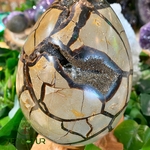 Oeuf-de-dragon-septaria