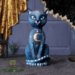 chat-celeste