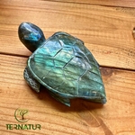 ANIMAL_TORTUE_LABRADORITE