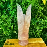 cygne-quartz
