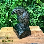 corbeau-animal-totem-obsidienne