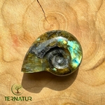 labradorite-ammonite