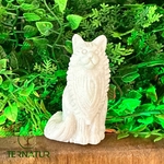 jade-blanc-chat