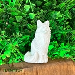 chat-jade-blanc