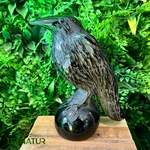 CORBEAU_OBSIDIENNE