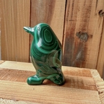 pingouin-malachite-animal2