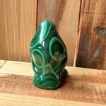 pingouin-malachite-animal1