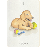 oracle-animal-compagnie9