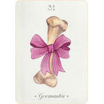 oracle-animal-compagnie8