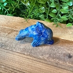 dauphin-animal-totem1