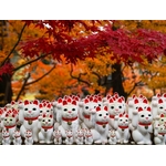 tokyo-gotokuji-temple-214444