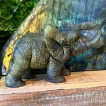 elephant-labradorite-animal-totem2